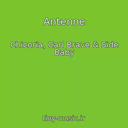 کاور آهنگ Antenne از Chicoria, Carl Brave & Side Baby
