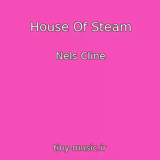 کاور آهنگ House Of Steam از Nels Cline