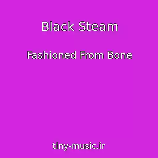 کاور آهنگ Black Steam از Fashioned From Bone
