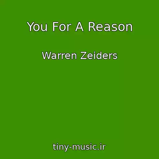 کاور آهنگ You For A Reason از Warren Zeiders