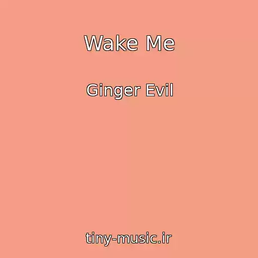 کاور آهنگ Wake Me از Ginger Evil