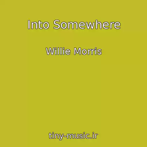 کاور آهنگ Into Somewhere از Willie Morris