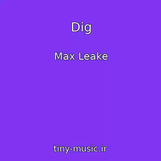 کاور آهنگ Dig از Max Leake