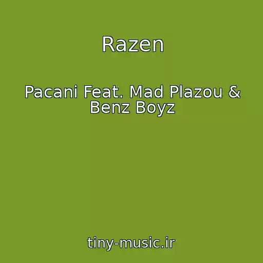 کاور آهنگ Razen از Pacani Feat. Mad Plazou & Benz Boyz