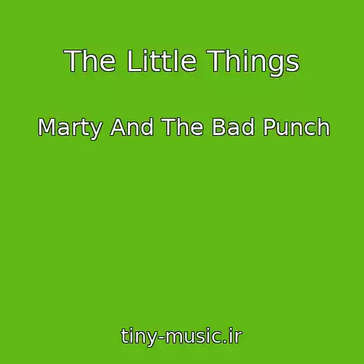 کاور آهنگ The Little Things از Marty And The Bad Punch