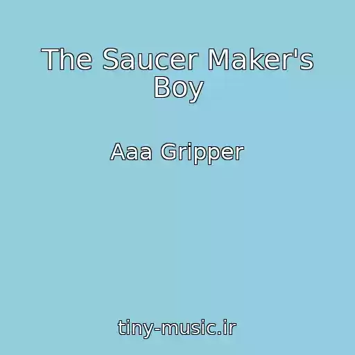 کاور آهنگ The Saucer Maker's Boy از Aaa Gripper