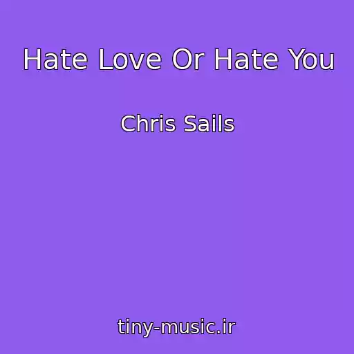 کاور آهنگ Hate Love Or Hate You از Chris Sails