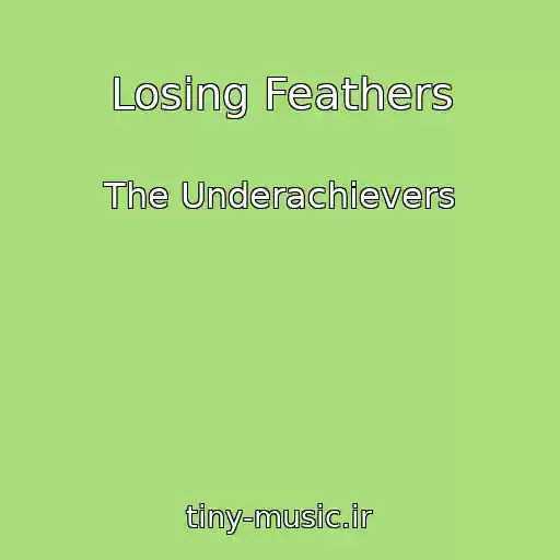 کاور آهنگ Losing Feathers از The Underachievers