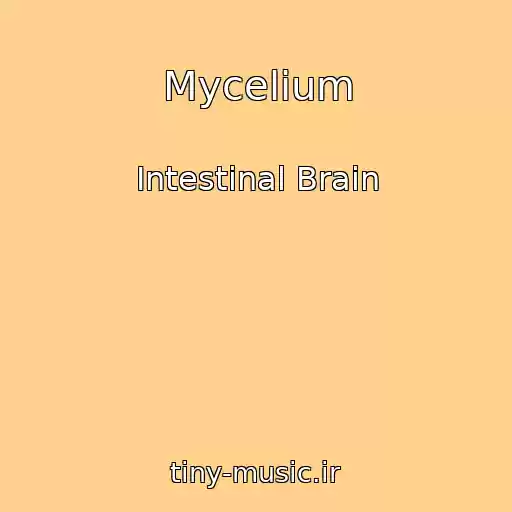 کاور آهنگ Mycelium از Intestinal Brain