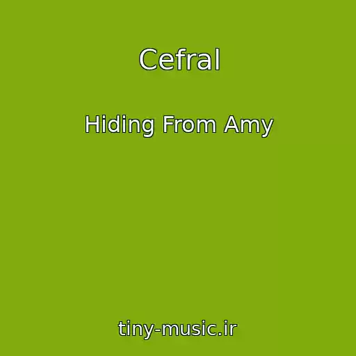 کاور آهنگ Cefral از Hiding From Amy