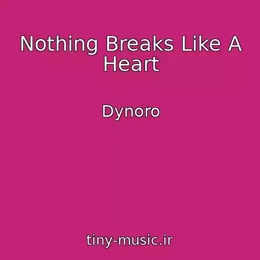 کاور آهنگ Nothing Breaks Like A Heart از Dynoro