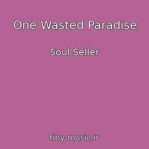 کاور آهنگ One Wasted Paradise از Soul Seller