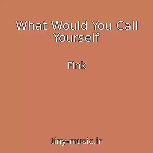 کاور آهنگ What Would You Call Yourself از Fink