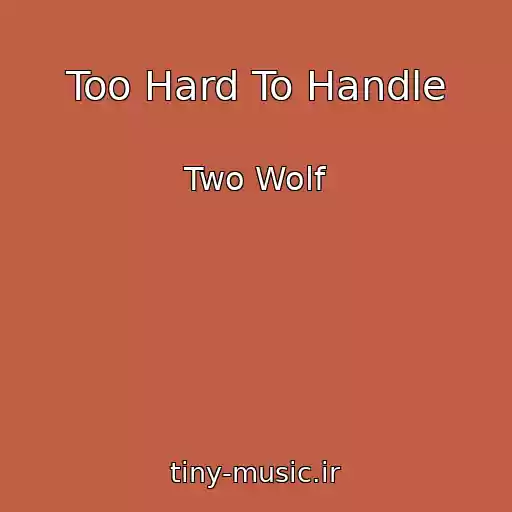 کاور آهنگ Too Hard To Handle از Two Wolf