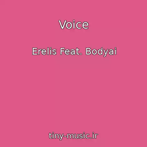 کاور آهنگ Voice از Erelis Feat. Bodyai