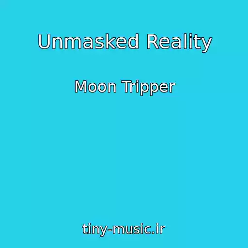 کاور آهنگ Unmasked Reality از Moon Tripper