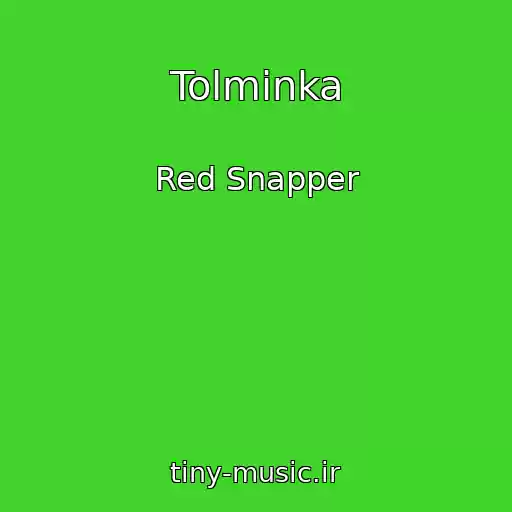 کاور آهنگ Tolminka از Red Snapper
