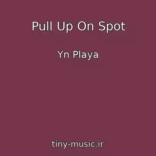 کاور آهنگ Pull Up On Spot از Yn Playa