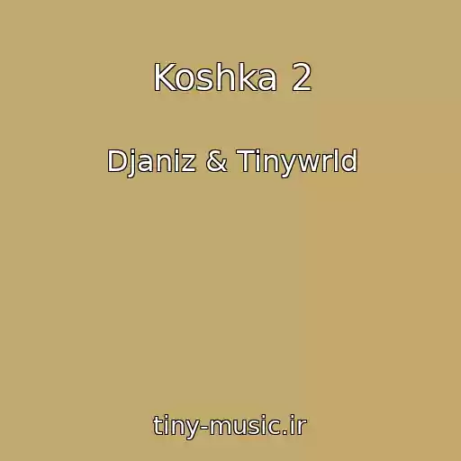 کاور آهنگ Koshka 2 از Djaniz & Tinywrld