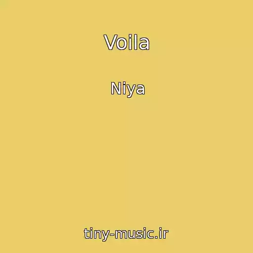 کاور آهنگ Voila از Niya