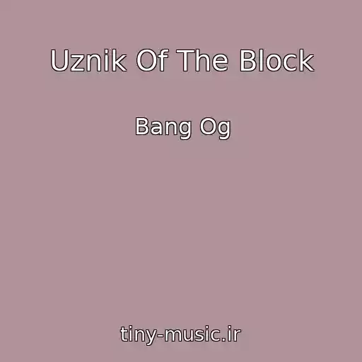 کاور آهنگ Uznik Of The Block از Bang Og