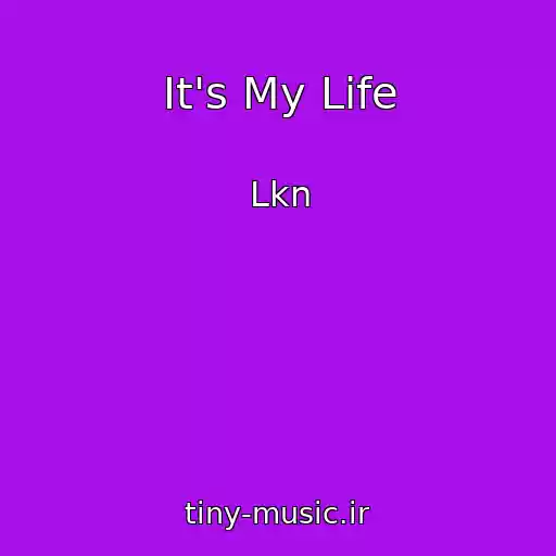 کاور آهنگ It's My Life از Lkn