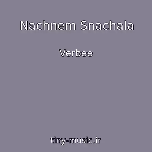 کاور آهنگ Nachnem Snachala از Verbee