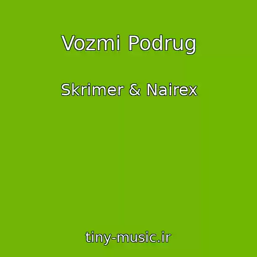 کاور آهنگ Vozmi Podrug از Skrimer & Nairex