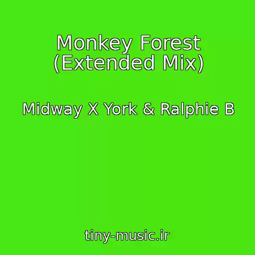 کاور آهنگ Monkey Forest (Extended Mix) از Midway X York & Ralphie B