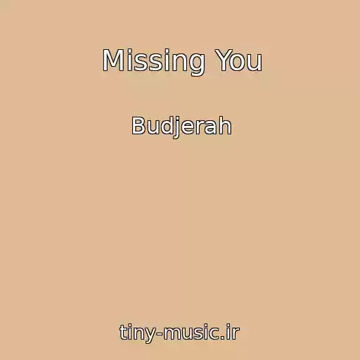 کاور آهنگ Missing You از Budjerah