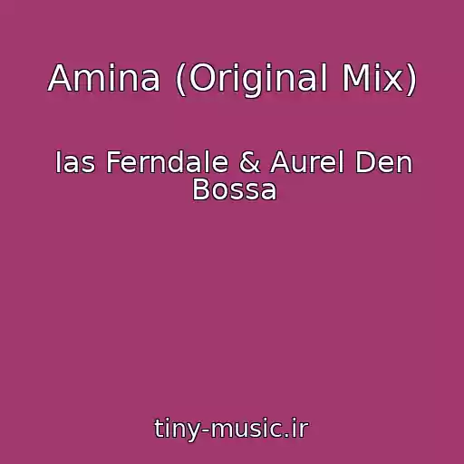 کاور آهنگ Amina (Original Mix) از Ias Ferndale & Aurel Den Bossa