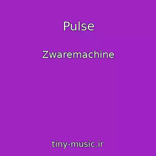 کاور آهنگ Pulse از Zwaremachine