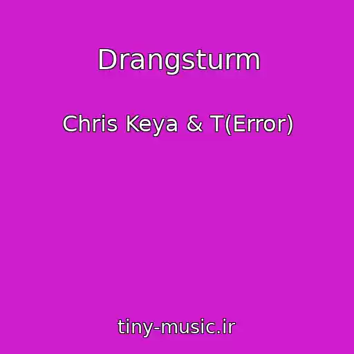 کاور آهنگ Drangsturm از Chris Keya & T(Error)