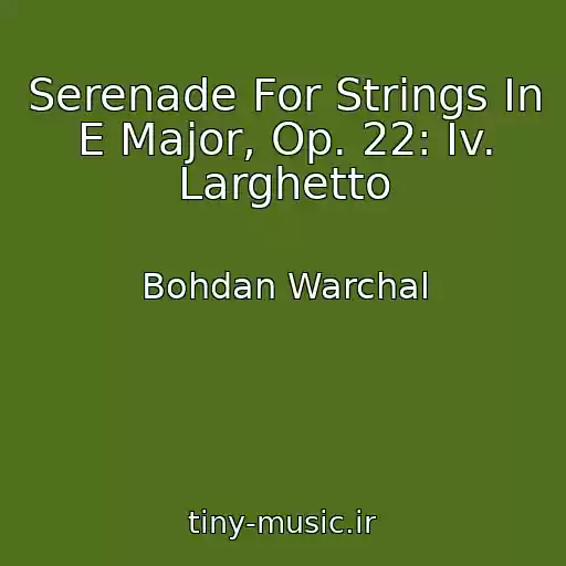 کاور آهنگ Serenade For Strings In E Major, Op. 22: Iv. Larghetto از Bohdan Warchal