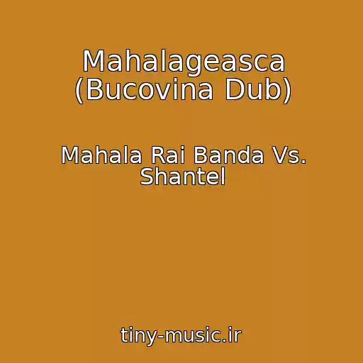 کاور آهنگ Mahalageasca (Bucovina Dub) از Mahala Rai Banda Vs. Shantel