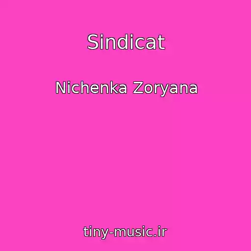 کاور آهنگ Sindicat از Nichenka Zoryana
