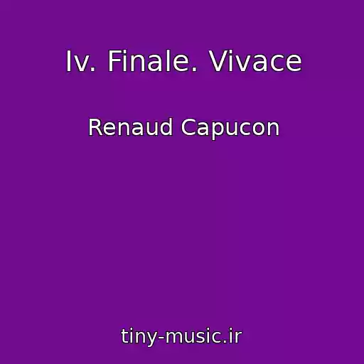 کاور آهنگ Iv. Finale. Vivace از Renaud Capucon