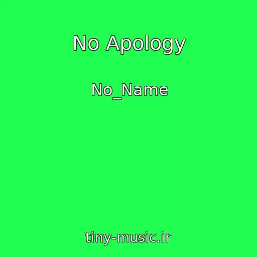 کاور آهنگ No Apology از No_Name