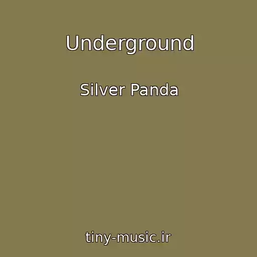 کاور آهنگ Underground از Silver Panda
