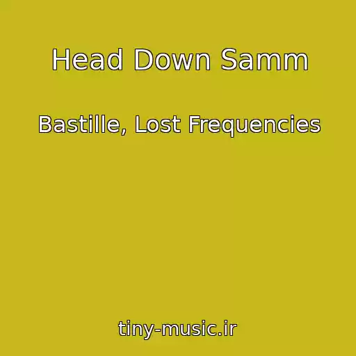 کاور آهنگ Head Down Samm از Bastille, Lost Frequencies