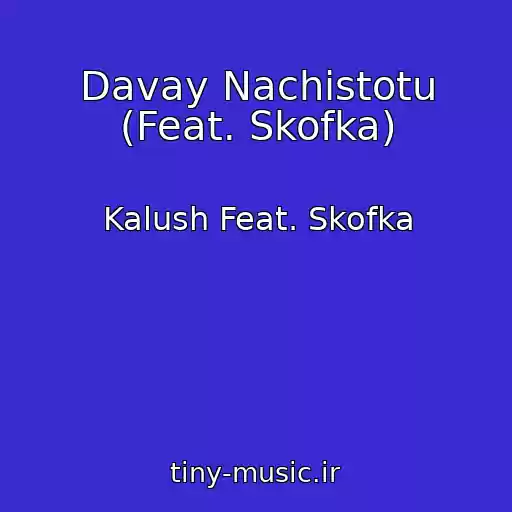 کاور آهنگ Davay Nachistotu (Feat. Skofka) از Kalush Feat. Skofka
