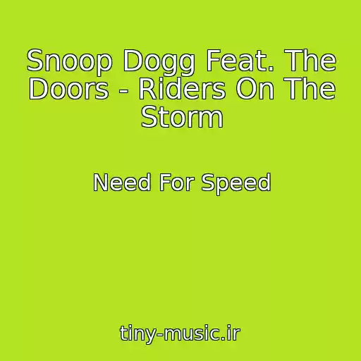 کاور آهنگ Snoop Dogg Feat. The Doors - Riders On The Storm از Need For Speed