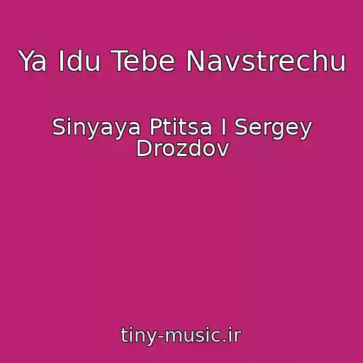 کاور آهنگ Ya Idu Tebe Navstrechu از Sinyaya Ptitsa I Sergey Drozdov