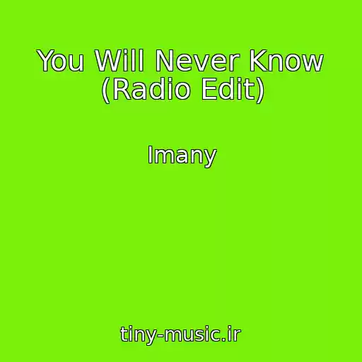 کاور آهنگ You Will Never Know (Radio Edit) از Imany
