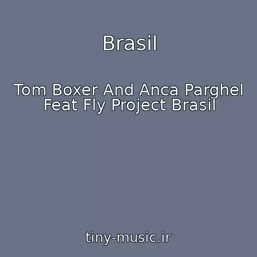 کاور آهنگ Brasil از Tom Boxer And Anca Parghel Feat Fly Project Brasil