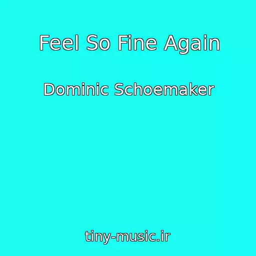 کاور آهنگ Feel So Fine Again از Dominic Schoemaker