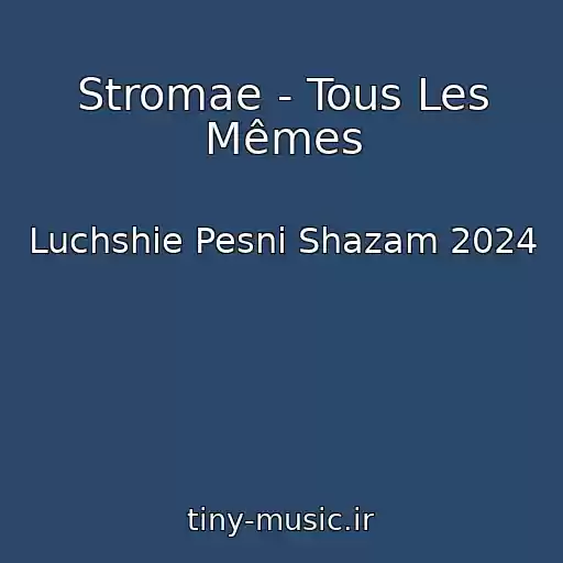 کاور آهنگ Stromae - Tous Les Mêmes از Luchshie Pesni Shazam 2024