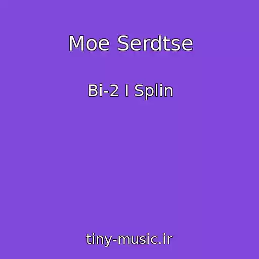 کاور آهنگ Moe Serdtse از Bi-2 I Splin