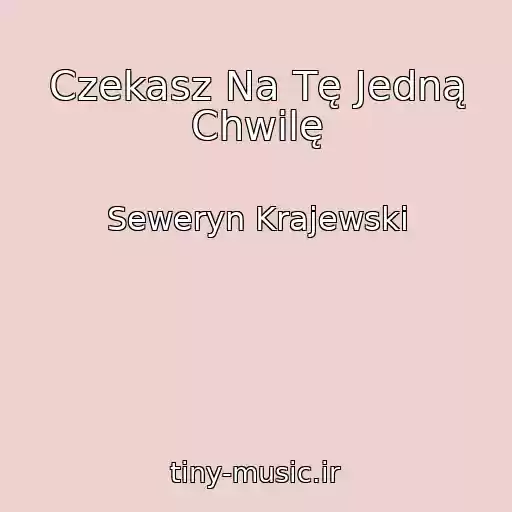 کاور آهنگ Czekasz Na Tę Jedną Chwilę از Seweryn Krajewski