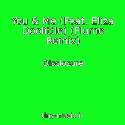 کاور آهنگ You & Me (Feat. Eliza Doolittle) (Flume Remix) از Disclosure